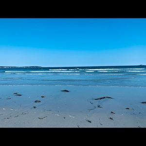 Meet your Posher, Wen